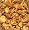 Chanterelle Mushrooms 4 oz.