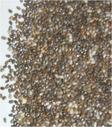 Chia Seeds - 1 Pound by Ultimate Nut and Candy Co.