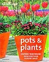 Pots and Plants: Inspired Year-round Ideas for Your Outside Space