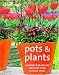 Pots and Plants: Inspired Year-round Ideas for Your Outside Space