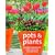 Pots and Plants: Inspired Year-round Ideas for Your Outside Space