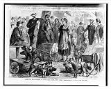 Historic Print (S): Arrested rag-pickers in City Hall Park, New York / sketched by C.G. Bush.