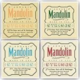 D'Addario J80 Phosphor Bronze Octave Mandolin Strings, Medium, 12-46