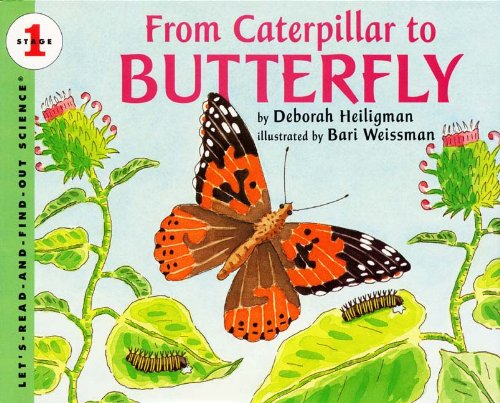 From Caterpillar to Butterfly (Let's-Read-And-Find-Out Science: Stage 1)