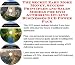 Book The Secret Earn More Money, Success Principles and Sales Models for DVD Authoring On-line Businesses 3 CD Power Pack