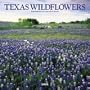 Texas Wildflowers 2005 Calendar