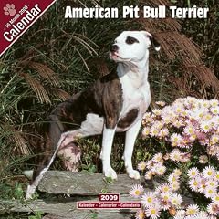 Kalender 2009 American Pit Bull Terrier