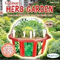 Culinary Herb Garden Growing Kit