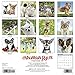 2016 Chihuahua Rules Wall Calendar