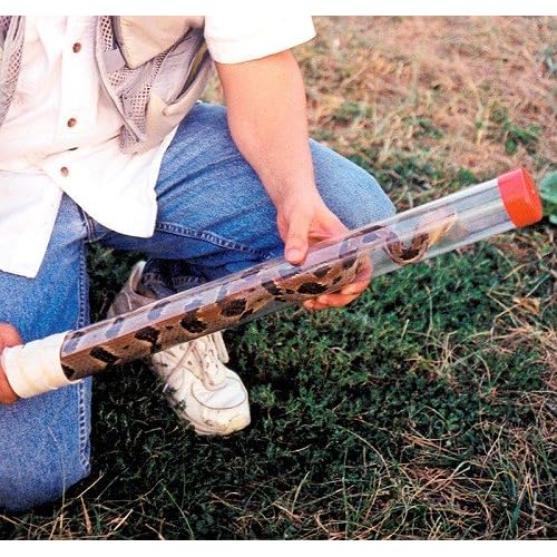 snake bite inner tube