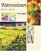 Book From Scratch, Water Colours: Art Workshop with Paul