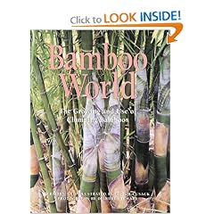 Bamboo World