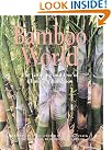 Bamboo World