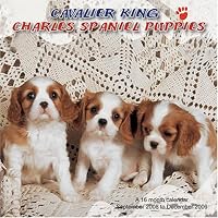 Cavalier King Charles Spaniel Puppies 2009 Wall Calendar