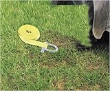 QUAD TOW STRAP 12' QB - QUADBOSS - by QUADBOSS