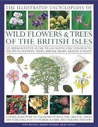 The Illustrated Encyclopedia of Wild Flowers & Trees of the British Isles: An authoritative guide to 650 native and introduced species of flowers, trees, shrubs, herbs, grasses & weeds