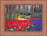 Review ArtToFrames  / 12x18 / 12 x 18 Picture Frame Salmon Porcelain .. 2'' wide
