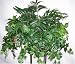 24 Palm, Ivy and Pathos Ledge Shelf Plant