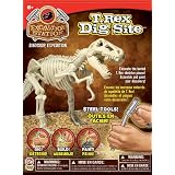 BSW Toy Excavation Station T. Rex Dig Site