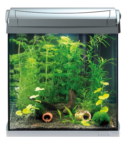 http://ecx.images-amazon.com/images/I/61MP83b%2Bm3L.jpg http://ecx.images-amazon.com/images/I/61MP83b%2Bm3L.jpg