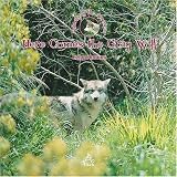 Here Comes The Grey Wolf (Animals of the Americas) (Spanish Edition)