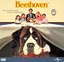 Beethoven Beethoven