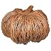 Smith &amp; Hawken&Acirc;&reg; Twig Pumpkin - Medium