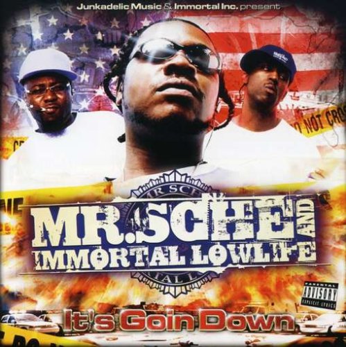 CD-Charts  Search : It's Goin' Down
