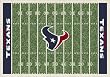 Houston Texans 5' 4" x 7' 8" NFL Home Field Area Rug