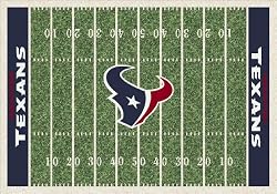 Houston Texans 3' 10" x 5' 4" NFL Home Field Area Rug