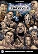 Survivor Series 2004
