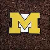 Michigan Wolverines NCAA Stepping Stone