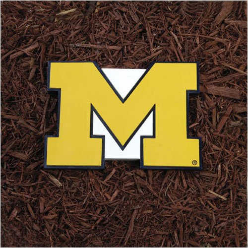 Michigan Wolverines NCAA Stepping Stone