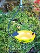 Yellow Ceramic and Wrought Iron Handcrafted Mealworm and Seed Bird Feeder