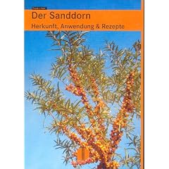 Der Sanddorn: Herkunft, Anwendung & Rezepte