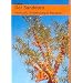 Der Sanddorn: Herkunft, Anwendung & Rezepte