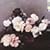 Power Corruption & Lies (2 CD Collector's Edition)