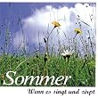 Sommer: Wenn es singt und zirpt