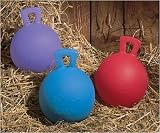 Jolly Ball Toy - 8 in.