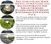 Book The Guru's Earn More Money, Inner Game and Biz Networking for Solar Charged Flashlights Internet Businesses 3 CD Power Pack