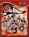 2008 Cincinnati Bengals Team Composite 8x10