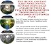 Book The Quick and Easy Earn More Money, Success Principles and Accounting & Finance for Badminton Trophies On-line Businesses 3 CD Power Pack