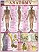 Books : Anatomy