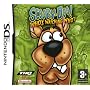Scooby Doo! Who's Watching Who? (Nintendo DS)
