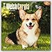 Welsh Corgis 2016 Calendar