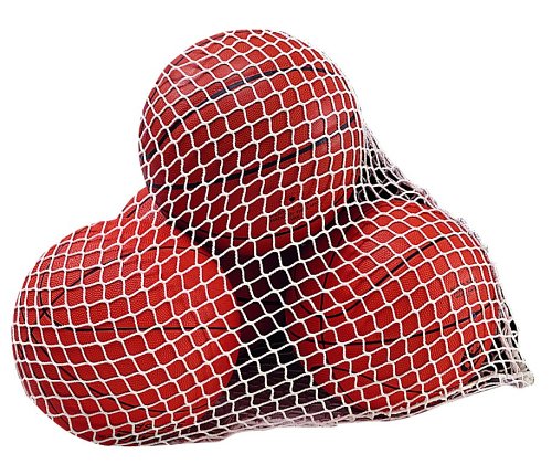 Tachikara TMB Mesh Ball Bag Reviews