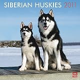 Kalender 2011 Siberian Husky - Browntrout