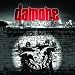 Image of What We Came Here For