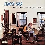Andrew Gold - What s Wrong with This Picture?