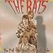 Fall and Rise: A Rats Tale